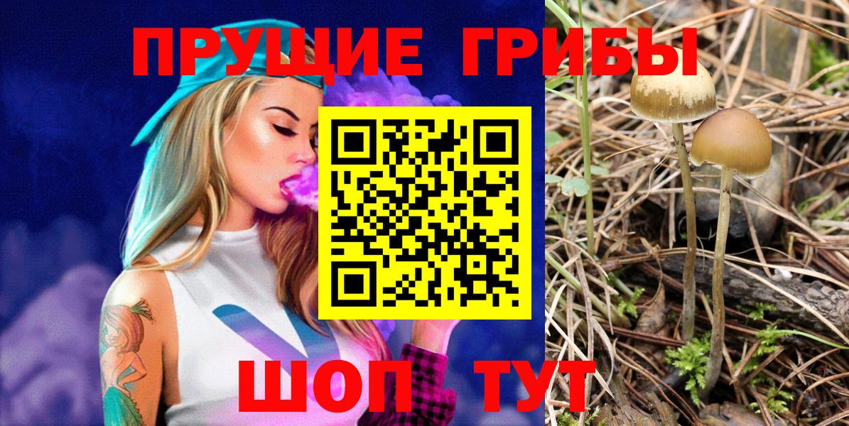Десногорск  где можно купить   Вход с VPN  Псилоцибиновые грибы Psilocybine cubensis 